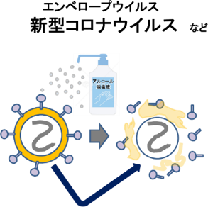 ウイルス アルコール コロナ ノン
