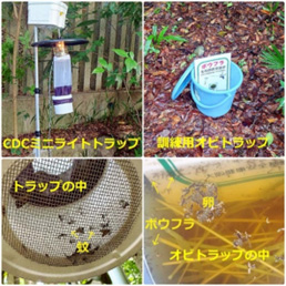蚊媒介感染症対策訓練HP用4枚1
