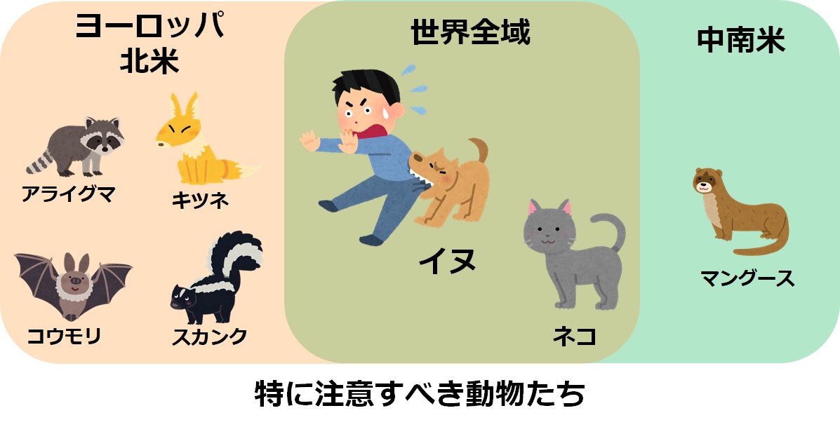 狂犬病に注意すべき動物.jpg