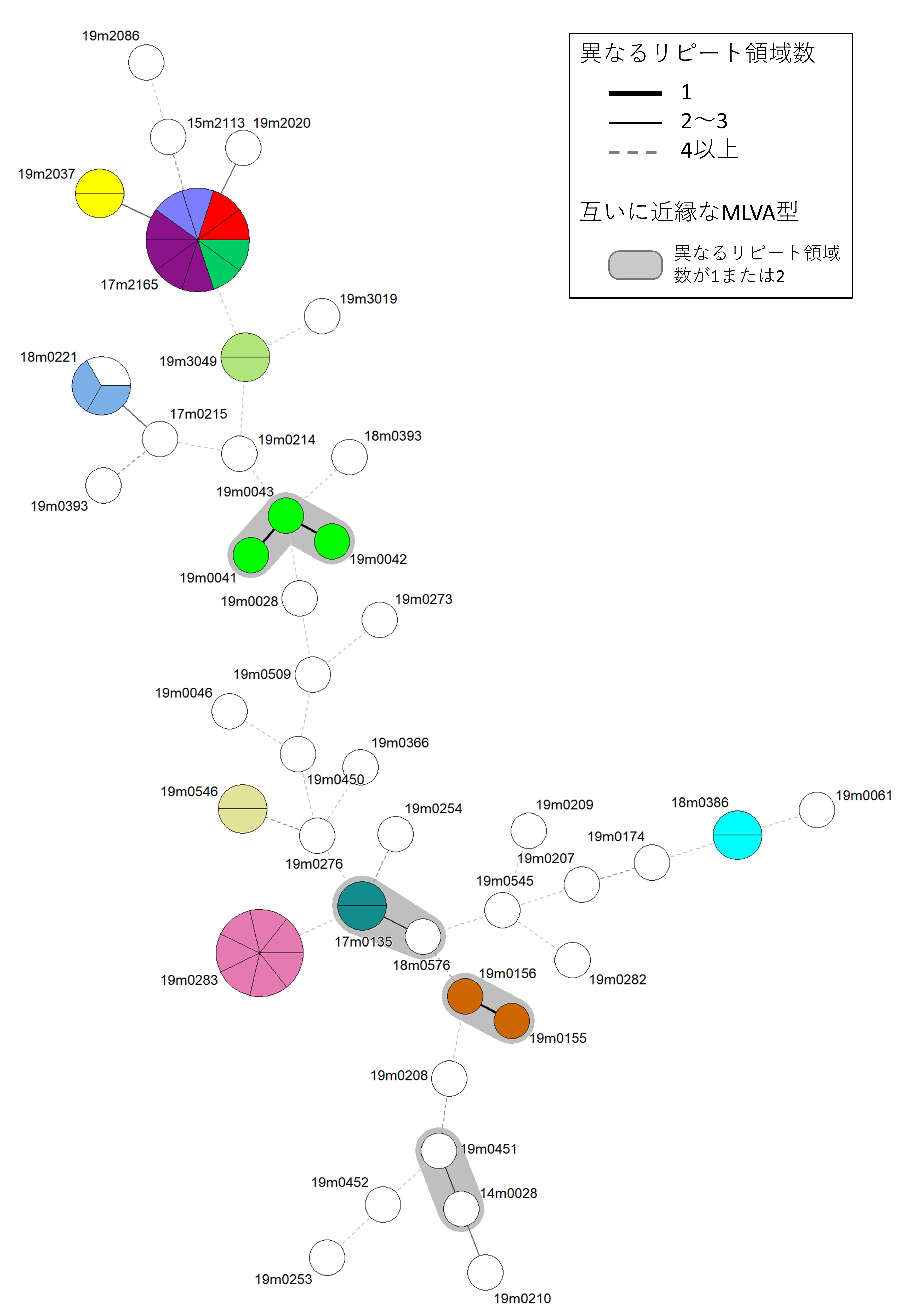 図1.MLVA型と菌株の疫学的関連性.jpg
