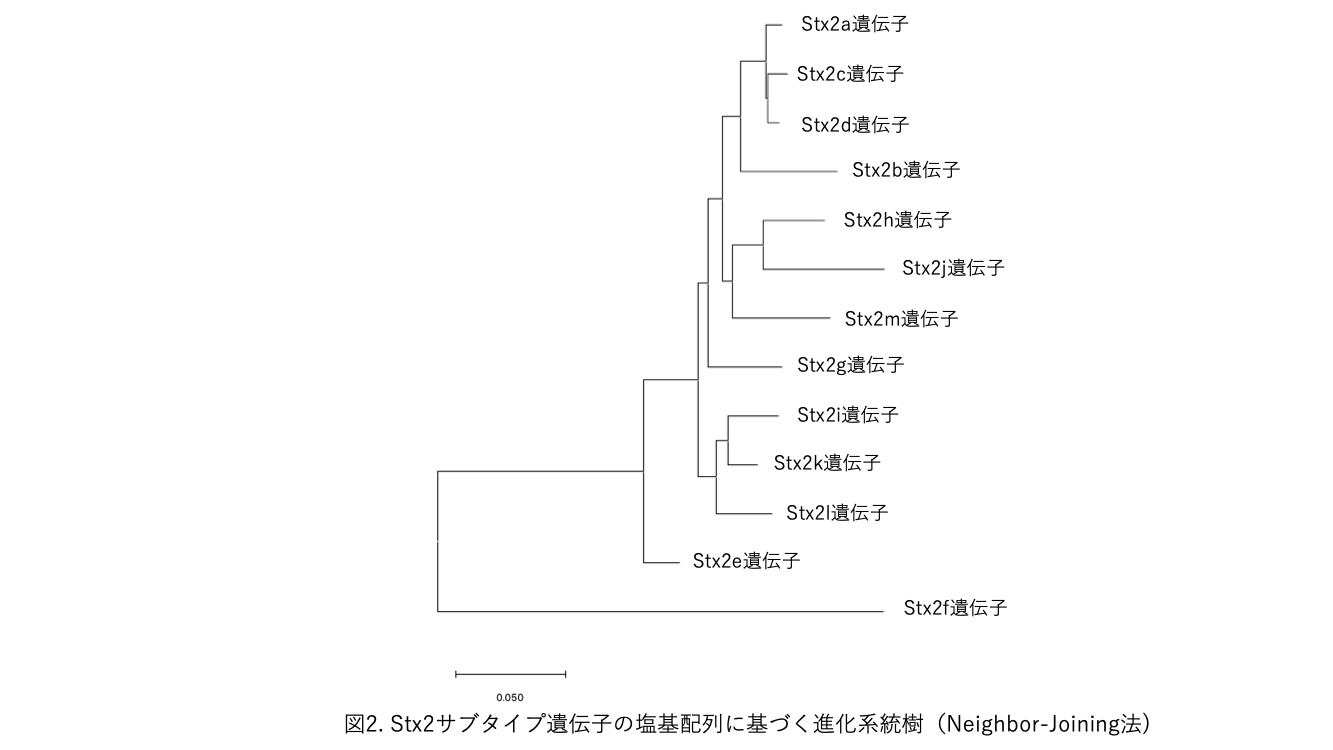 Fig2