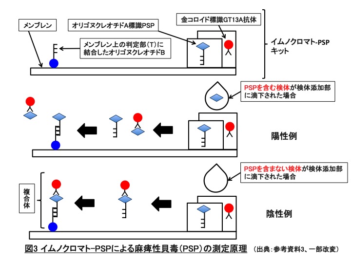 イムノクロマト -PSP原理