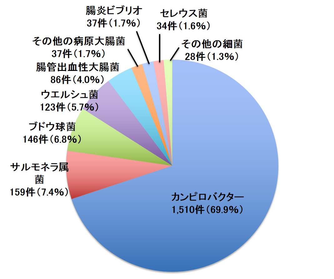 症状 サルモネラ菌