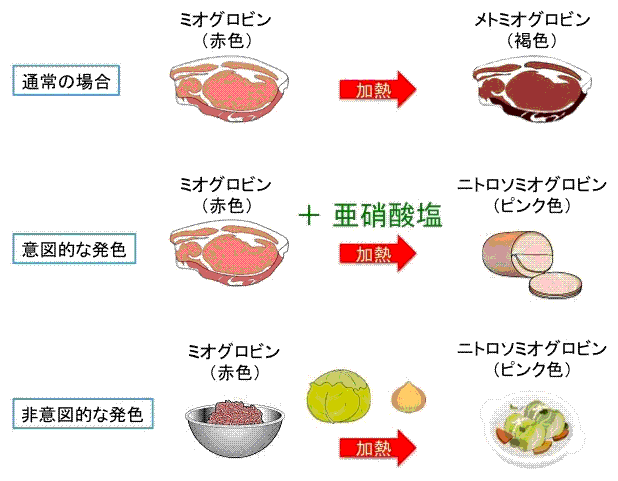 肉の発色現象