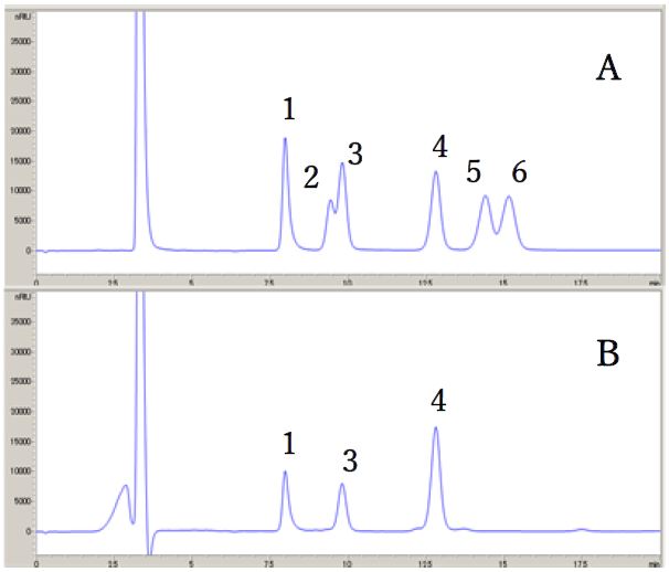 図2_クロマトグラム