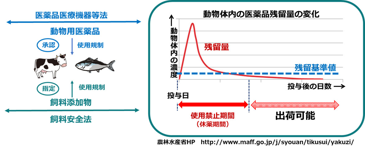 動物用医薬品について