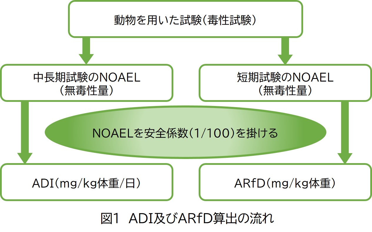 ADI,ARfDの算出方法