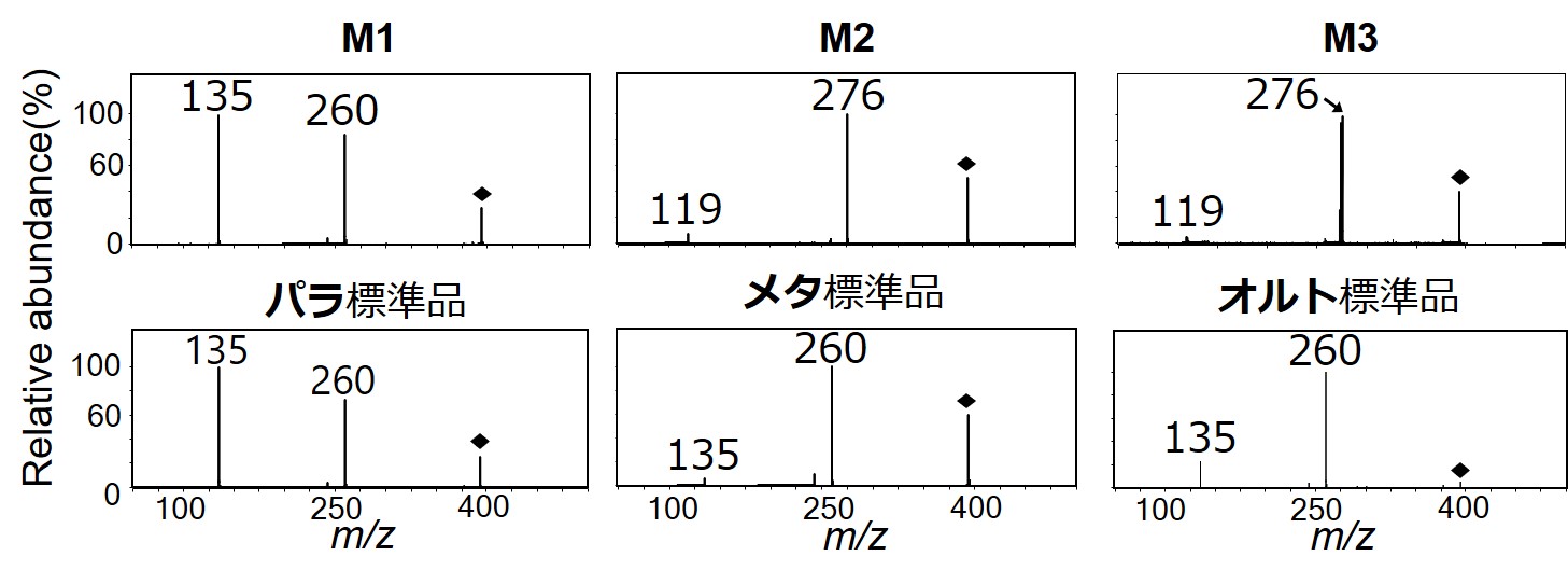 図4.　代謝物と標準品のMSMSスペクトル。縦軸は一番イオンの存在量が高いものを1とした際の相対存在量を示す。◆は元のイオンを表す。