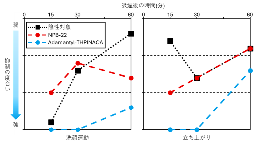 吸煙曝露試験の結果