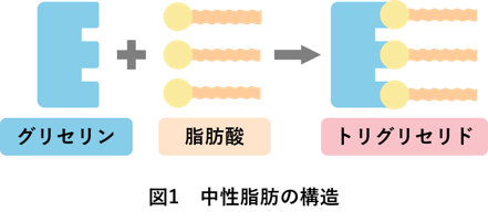 fig1