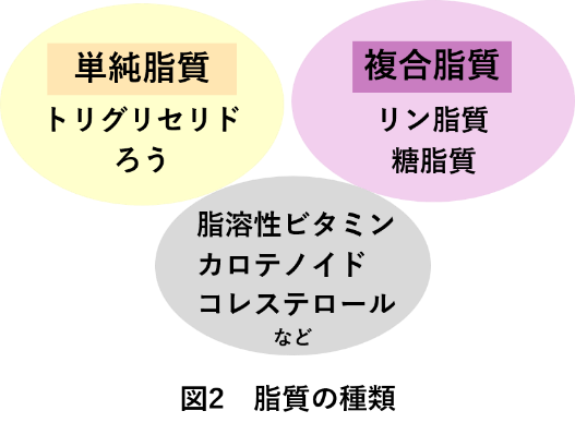 fig2